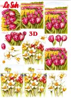 3D Bogen Tulpen und Narzissen